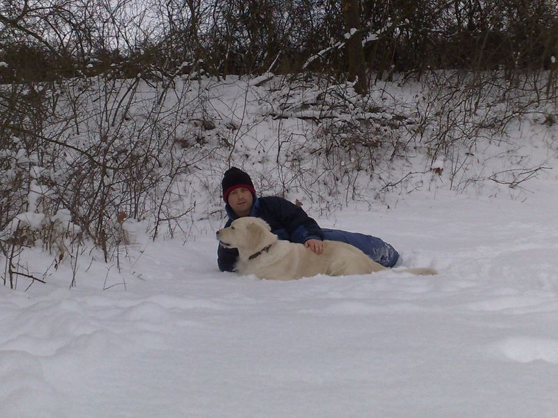 Snezny_pes_08.jpg