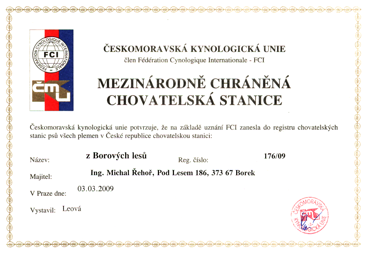 certifikat-chs.png