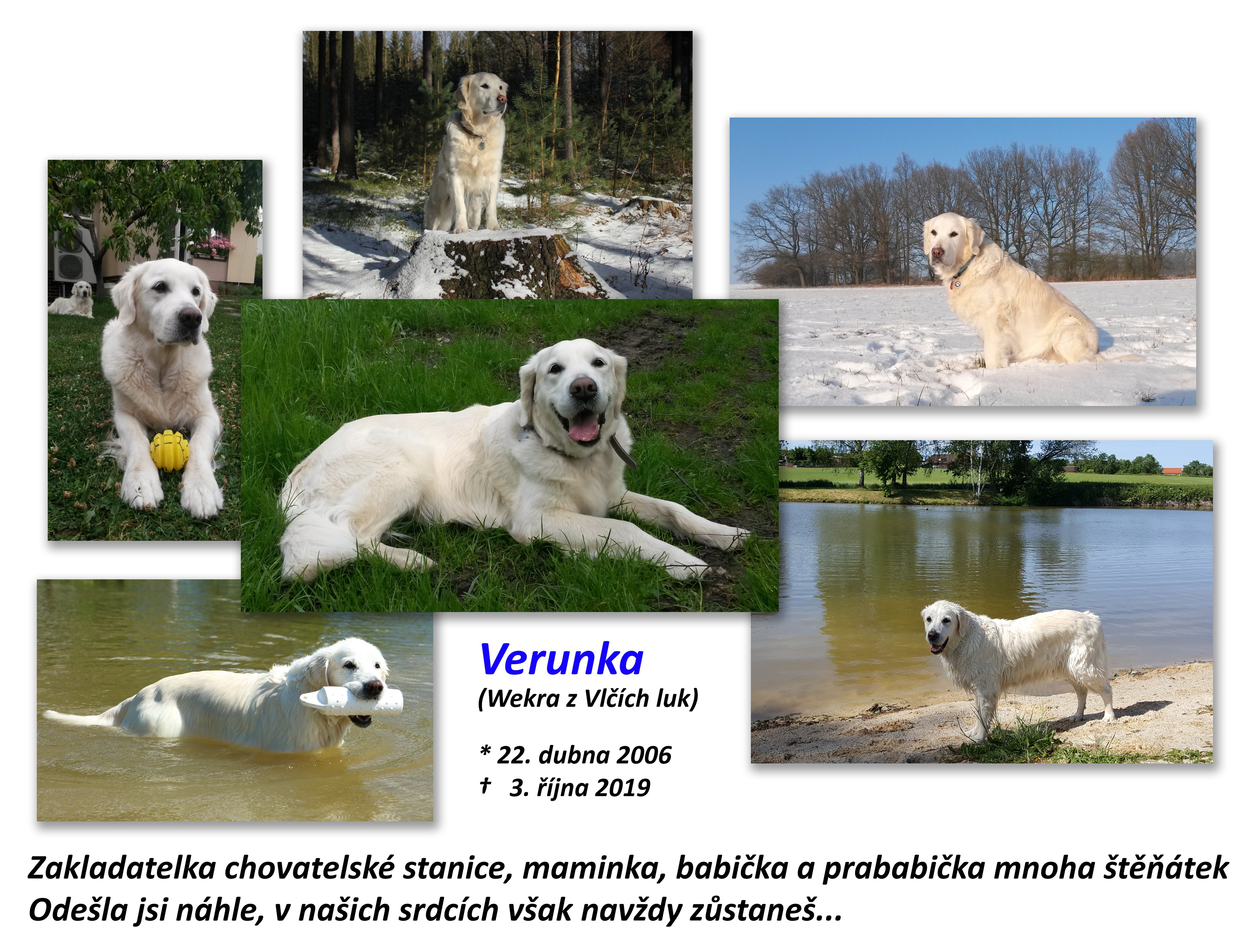 verunka-tribute.jpg